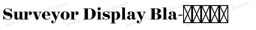 Surveyor Display Bla字体转换